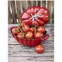 STAUB COCOTTE POMODORO ROSSA 25CM
