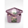 SET 3CONTENITORI ERMETICI PEEK BOX MAUVE